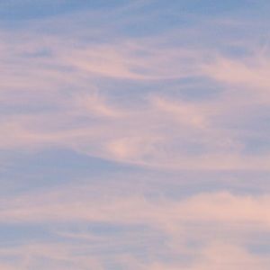 Meet your Posher, Avava